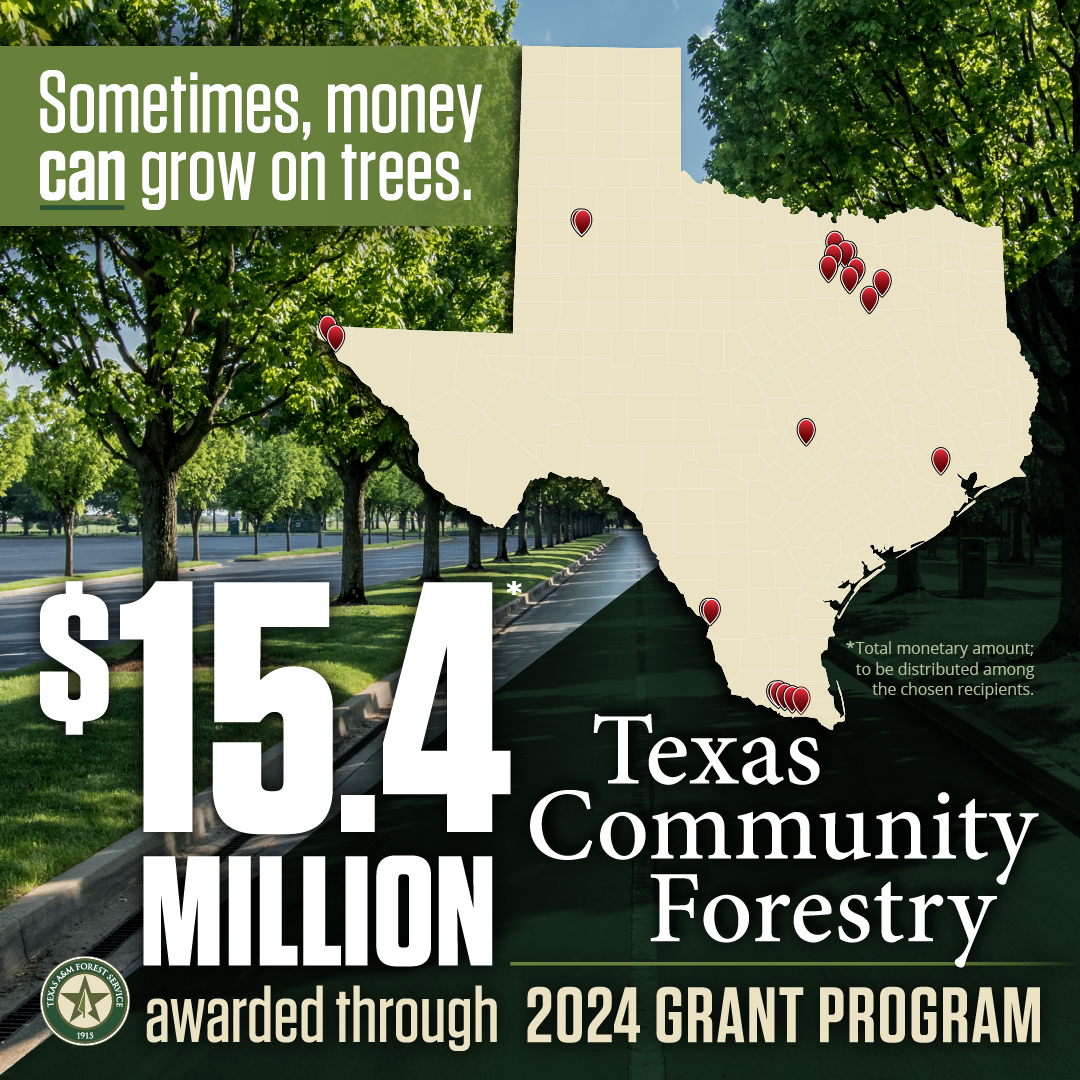 <p data-ektron-preserve="true">    FOR IMMEDIATE RELEASE  
  April 10, 2024  
  Texas A&amp;M Forest
Service awards historic $15.4 million through forestry grant program   
 COLLEGE STATION, Texas – Twenty-two
Texas cities, neighborhoods, non-profit organizations and schools received grant
funding through the Texas A&amp;M Forest Service Commu</p>